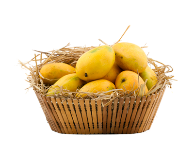 100% Premium Quality Garden Fresh Mango